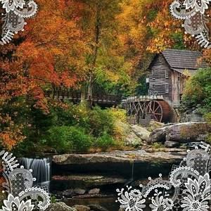 Meet your Posher, Tami